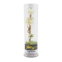 Rattan stalks conditioning (Organique) - 50ml. Rattan stalks conditioning (Organique) - 50ml.