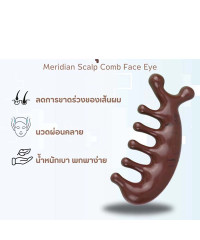 Massage comb head 1 piece 5*11 cm