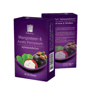 Sabunnga Mangosteen $ Asiatic Pennyworth Soap 100g