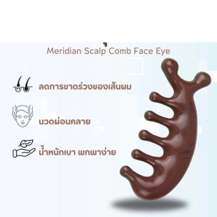 Massage comb head 1 piece 5*11 cm