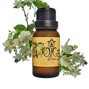 Wild Water Plum essential oil (H-Hom) - 15ml.