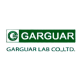 Garguar Lab Co Ltd