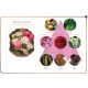 Gift Set Luxury Body Mist (Maya) -10 ml.*3pcs