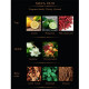 Gift Set Luxury Body Mist (Maya) - 3*10 ml.
