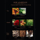 Rose & Agarwood Aroma Oil (Maya) - 30ml. Rose & Agarwood Aroma Oil (Maya) - 30ml.