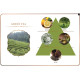 Green Tea Aroma Oil (Maya) - 30ml. Green Tea Aroma Oil (Maya) - 30ml.
