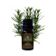 Rosemary Essential Oil (Makhamthai) - 10ml. Rosemary Essential Oil (Makhamthai) - 10ml.