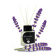 Lavender Aromatherapy Reed Diffuser (Siam Aroma) - 50 ml. Lavender Aromatherapy Reed Diffuser (Siam Aroma) - 50 ml.