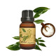 Camphor essential oil (H-Hom) - 15ml. Camphor essential oil (H-Hom) - 15ml.