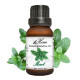 Mint essential oil (H-Hom) - 15ml. Mint essential oil (H-Hom) - 15ml.