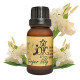Ginger Lilly essential oil (H-Hom) - 15ml. Ginger Lilly essential oil (H-Hom) - 15ml.