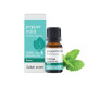 Peppermint 100% Pure Essential Oil (Sabai Arom) - 10ml. Peppermint 100% Pure Essential Oil (Sabai Arom) - 10ml.