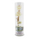Rattan stalks conditioning (Organique) - 50ml. Rattan stalks conditioning (Organique) - 50ml.