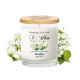 Jasmine Aromatherapy Soy Wax Candle (H-hom) - 250g. Jasmine Aromatherapy Soy Wax Candle (H-hom) - 250g.