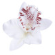 Orchid flower hair clip for women (8cm 3.15") - 1 pc. Orchid flower hair clip for women (8cm 3.15") - 1 pc.