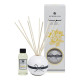BATH&BLOOM FRANGIPANI REED SET 100 ML BATH&BLOOM FRANGIPANI REED SET 100 ML