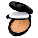 The Professional Make Up Extreme Control Powder Foundation SPF 25 PA+++ (Gino Mccray) - 10g.