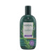 BERGAMOT® HERBAL EXTRACT SHAMPOO 200ml. 