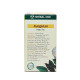 Tea Jiaogulan grass of longevity (HERBAL ONE) - 20 bags. Tea Jiaogulan grass of longevity (HERBAL ONE) - 20 bags.